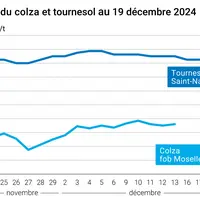 Graphique cours oléagineux France au 19 décembre 2024