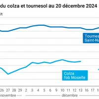 Graphique cours oléagineux français au 20 décembre 2024
