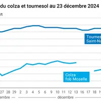 Graphique cours oléagineux français au 23 décembre 2024