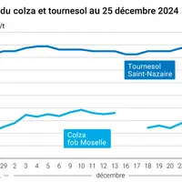 Graphique cours oléagineux français au 25 décembre 2024