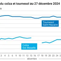 Maintien des prix du tournesol saint-Nazaire et baisse des prix du colza fob Moselle le 27 décembre 2024