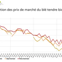 Graphique de l'évolution du prix du blé bio sur la période 2021-2024