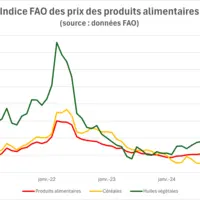 Graphique des indices FAO des prix des produits alimentaires depuis 2021