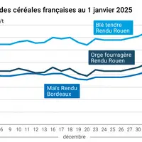 Graphique cours céréales France au 1er janvier 2025