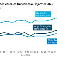 Graphique cours céréales françaises au 2 janvier 2025