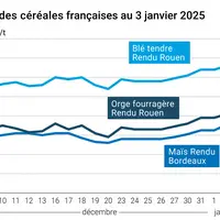 Graphique cours céréales françaises au 3 janvier 2025