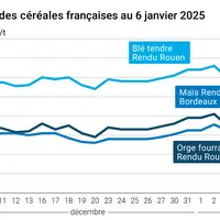 Graphique cours céréales françaises au 6 janvier 2025