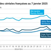 Graphique cours céréales françaises au 7 janvier 2025