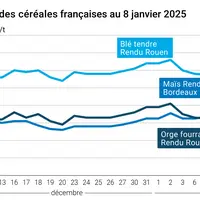 Graphique cours céréales françaises au 8 janvier 2025