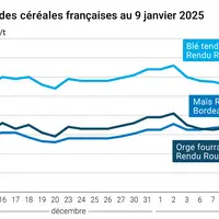 Graphique cours céréales françaises au 9 janvier 2025