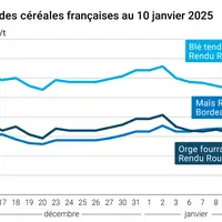 Graphique cours céréales françaises au 10 janvier 2025
