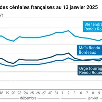 Graphique cours céréales françaises au 13 janvier 2025