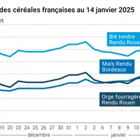 Graphique cours céréales françaises au 14 janvier 2025