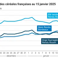 Graphique prix blé orge maïs France du 15 janvier 2025