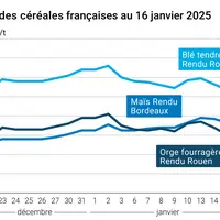 Graphique prix blé orge maïs France du 16 janvier 2025