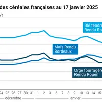 Graphique prix blé maïs orge France au 17 janvier 2025