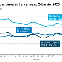 Graphique prix blé orge maïs France au 24 janvier 2025