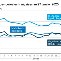 Graphique prix blé orge maïs France au 27 janvier 2025