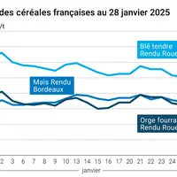 Graphique prix blé orge maïs France au 28 janvier 2025