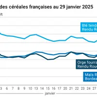 Graphique prix blé orge maïs France du 29 janvier 2025