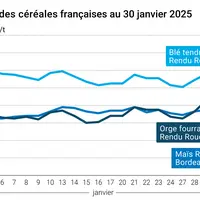 Graphique prix blé orge maïs France du 30 janvier 2025