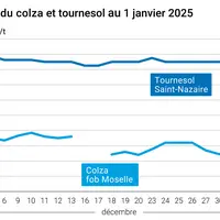 Graphique cours oléagineux France au 1er janvier 2025