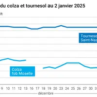 Graphique cours oléagineux français au 2 janvier 2025