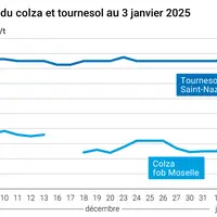 Graphique cours oléagineux français au 3 janvier 2025