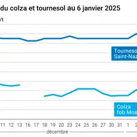 Graphique cours oléagineux français au 6 janvier 2025