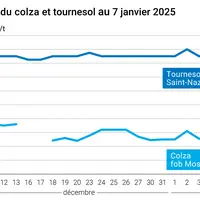 Graphique cours oléagineux français au 7 janvier 2025