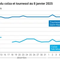Graphique cours oléagineux français au 8 janvier 2025