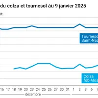 Graphique cours oléagineux français au 9 janvier 2025