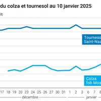Graphique cours oléagineux français au 10 janvier 2025