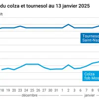 Graphique cours oléagineux français au 13 janvier 2025