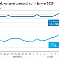 Graphique prix colza tournesol France du 14 janvier 2025
