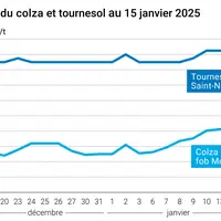 Graphique prix colza tournesol France du 15 janvier 2025