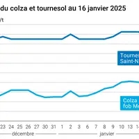 Graphique prix colza tournesol France du 16 janvier 2025