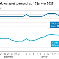 Graphique prix colza tournesol France au 17 janvier 2025