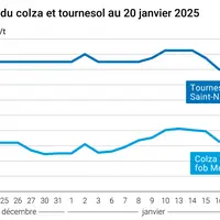 Prix du colza rendu Rouen et du tournesol rendu Saint Nazaire