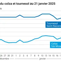 Prix du colza rendu Rouen et du tournesol rendu Saint Nazaire