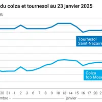 Prix du colza rendu Rouen et du tournesol rendu Saint Nazaire