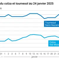 Graphique prix colza tournesol France au 24 janvier 2025