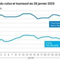 Graphique prix colza tournesol France au 28 janvier 2025
