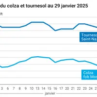 Graphique prix colza tournesol France du 29 janvier 2025