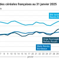 Graphique prix blé orge maïs France du 31 janvier 2025