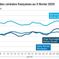 Graphique prix blé orge maïs France au 3 février 2025