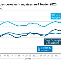 Graphique prix blé orge maïs France au 4 février 2025