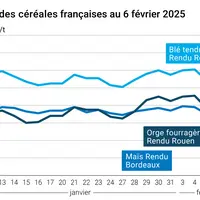 Graphique prix blé orge maïs France au 6 février 2025