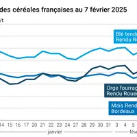 Graphique prix blé orge maïs France du 7 février 2025