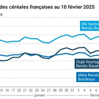 Graphique prix blé orge maïs France du 10 février 2025